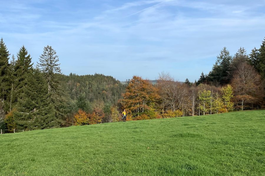 D – BONNDORF-EBNET  Oktober 2024