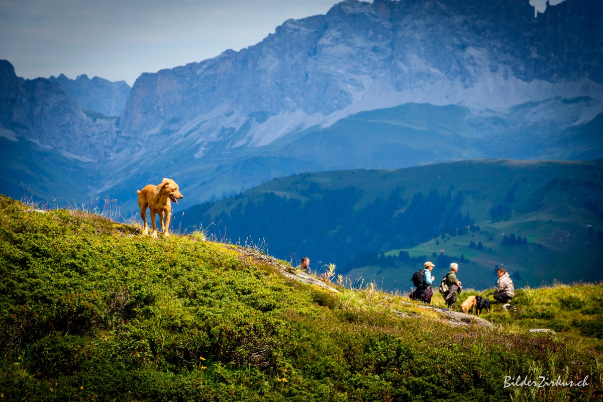 heuberge-0690