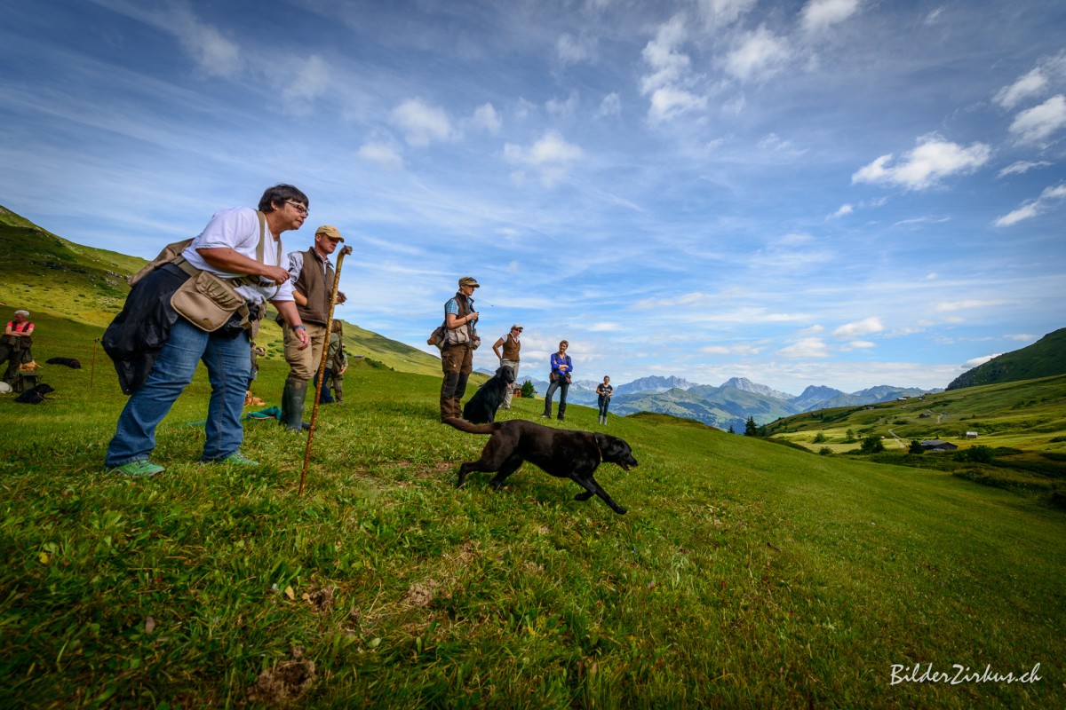 heuberge-9530