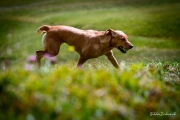 heuberge-0779