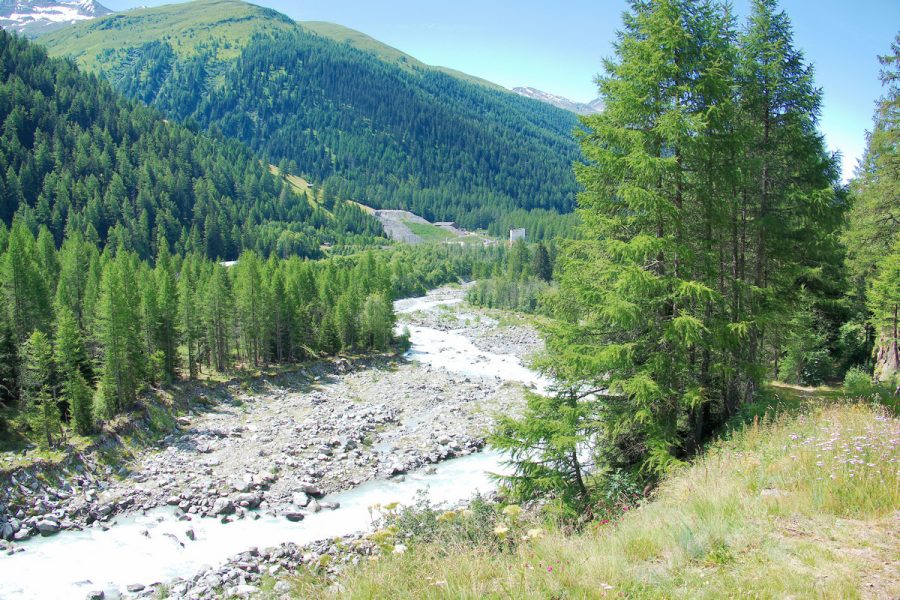 OBERWALD (2) VS Juli 2024
